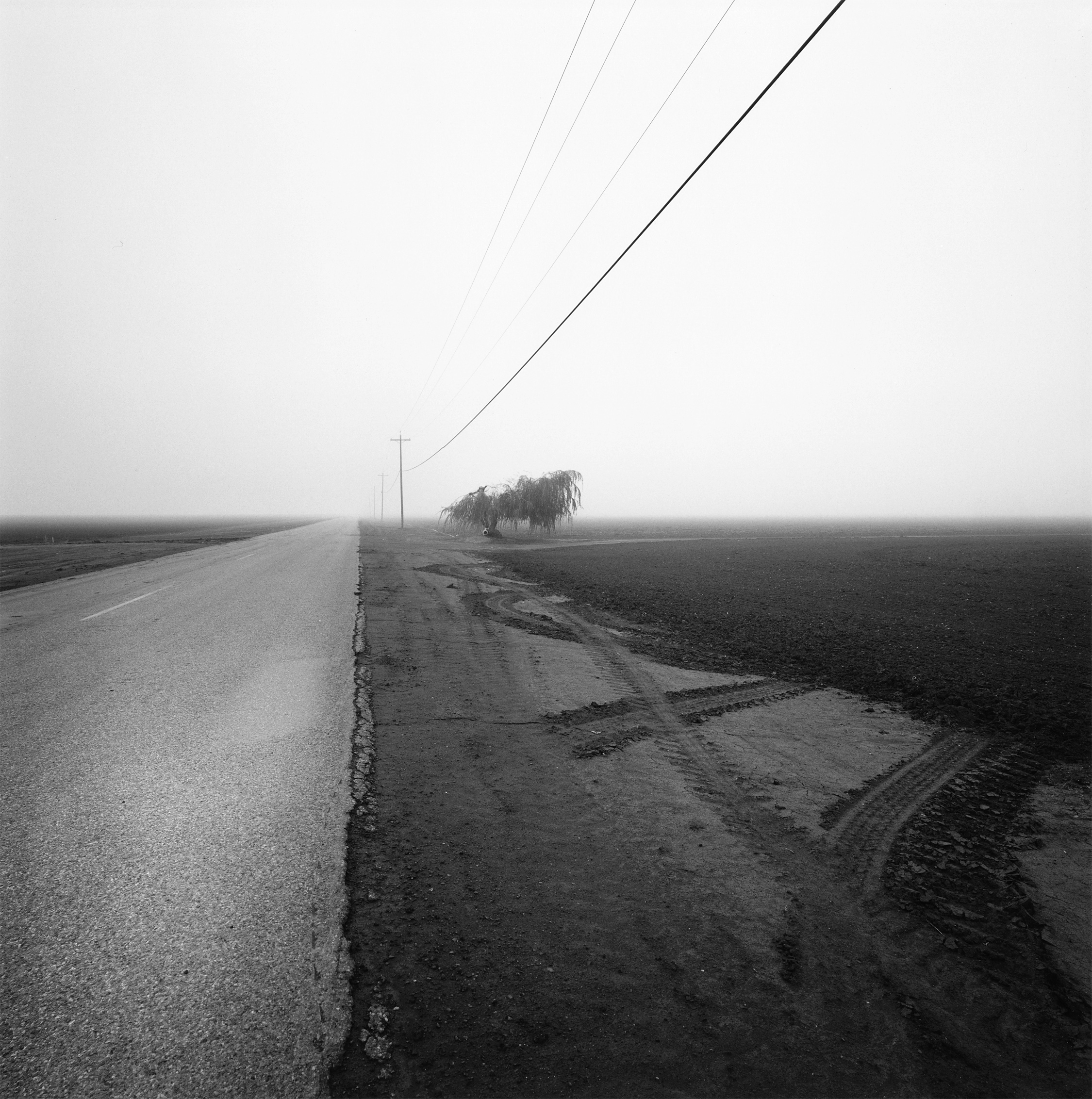 Mariposa County 15