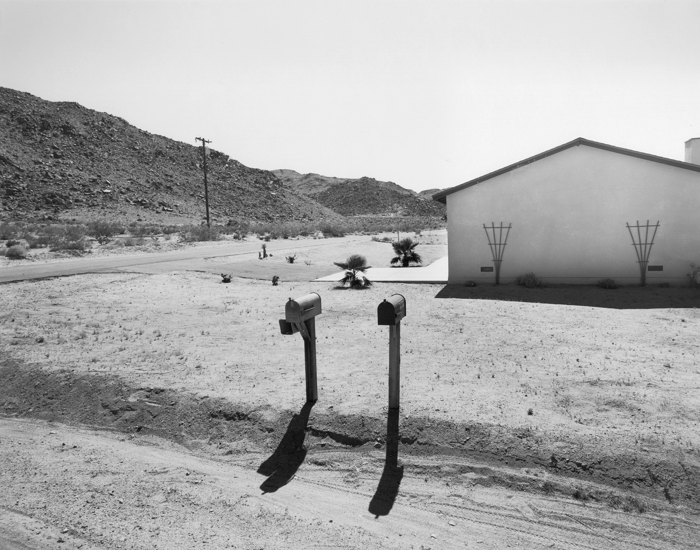 29 Palms #5