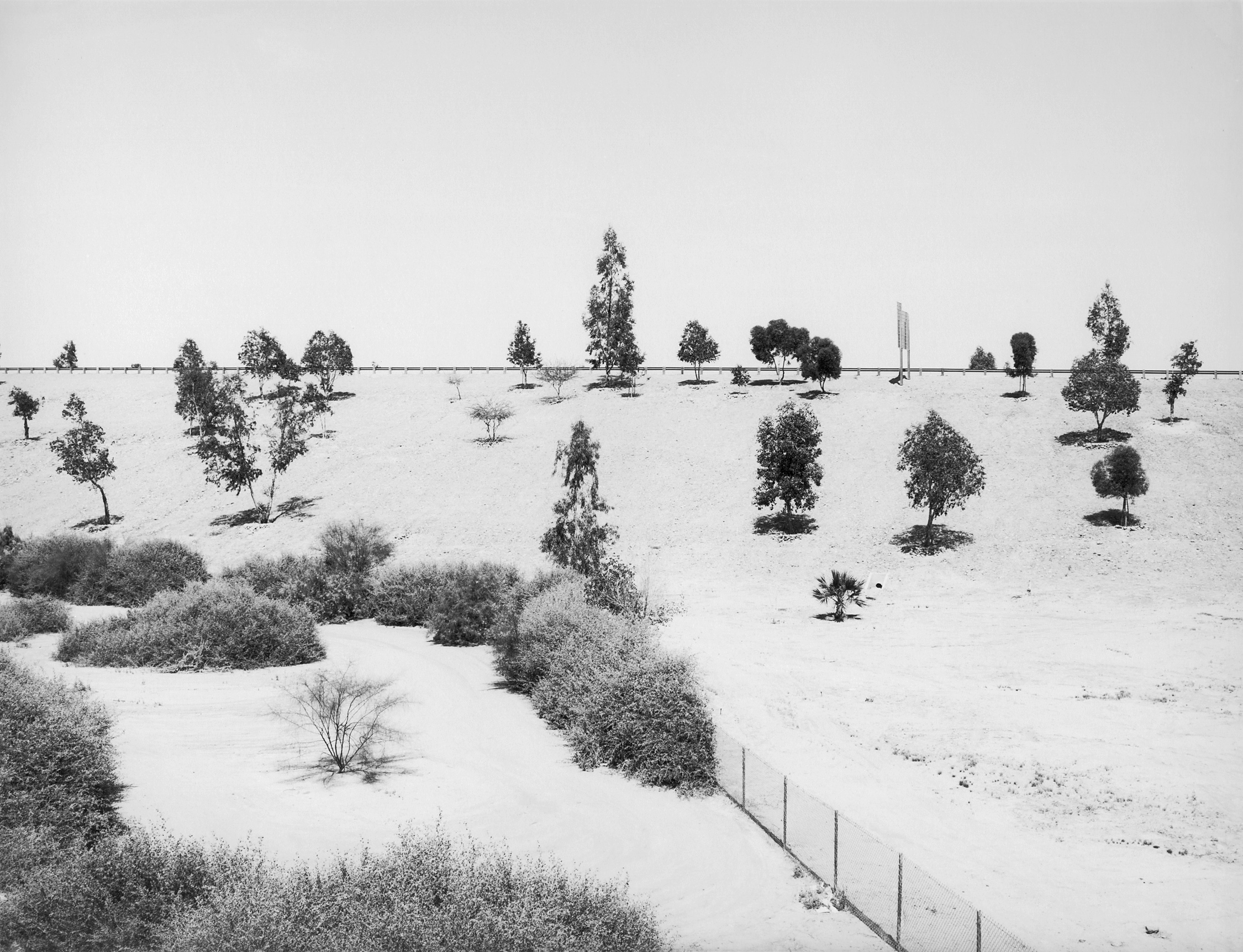 Yuma