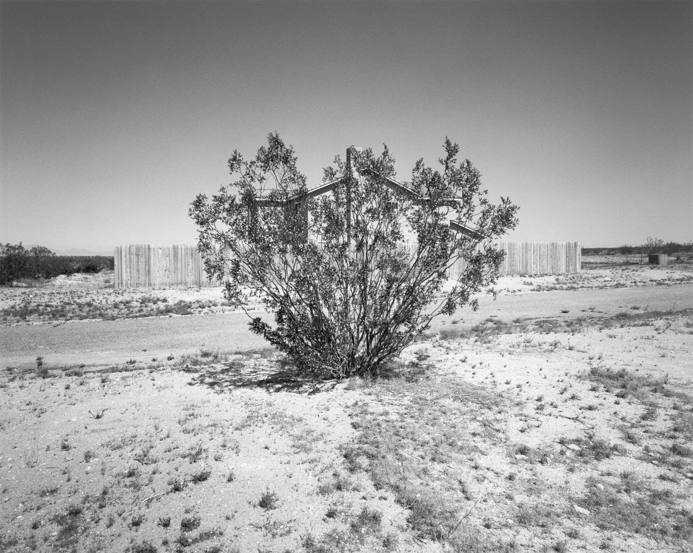 California City #24