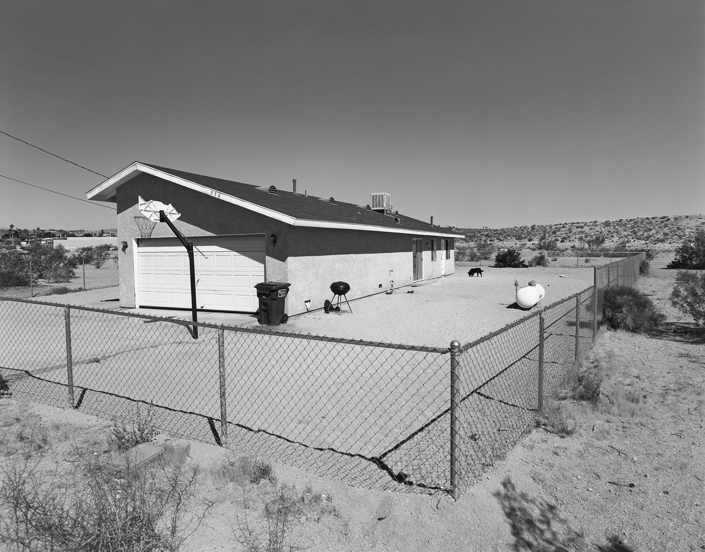 29 Palms #7