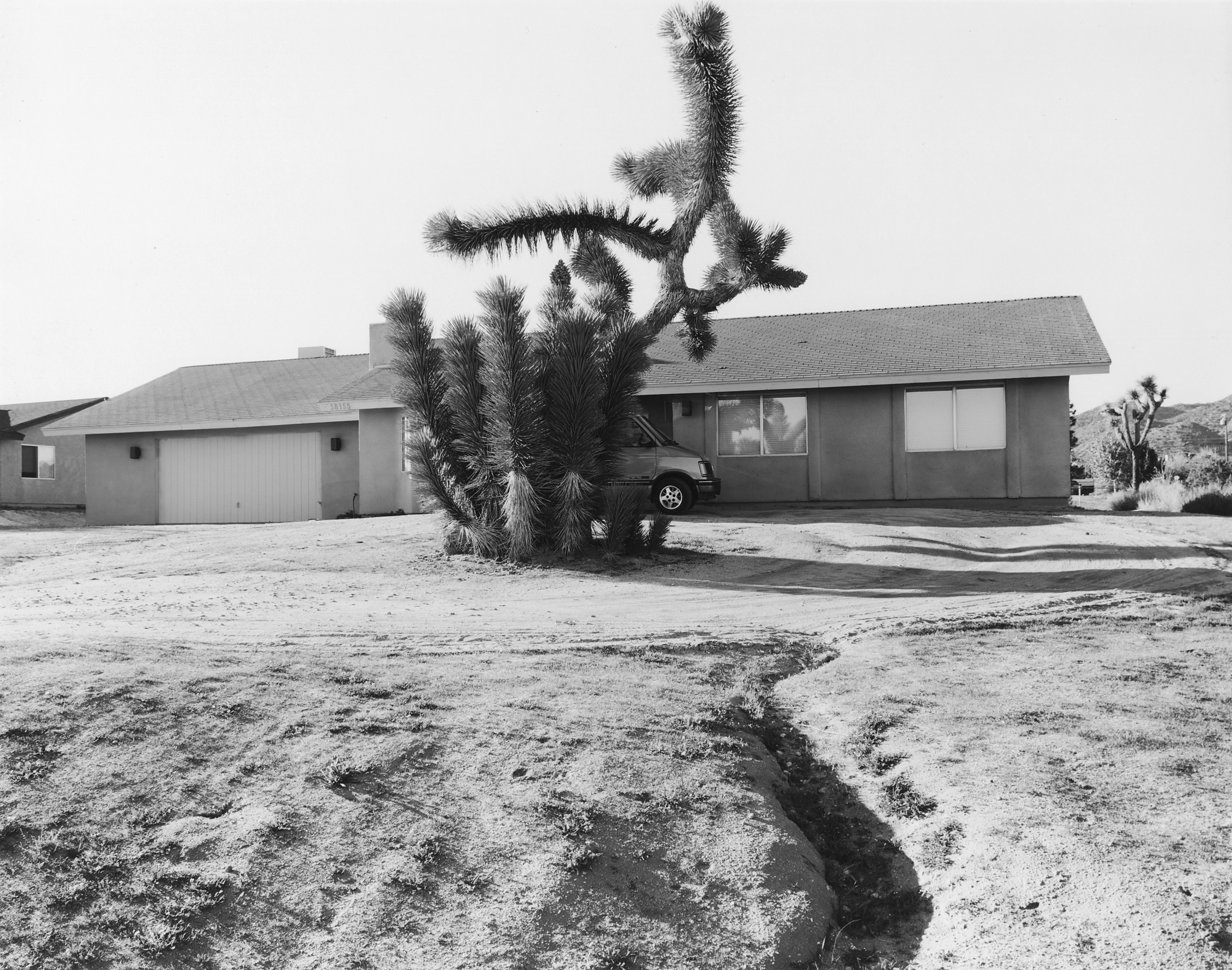 Yucca Valley #7