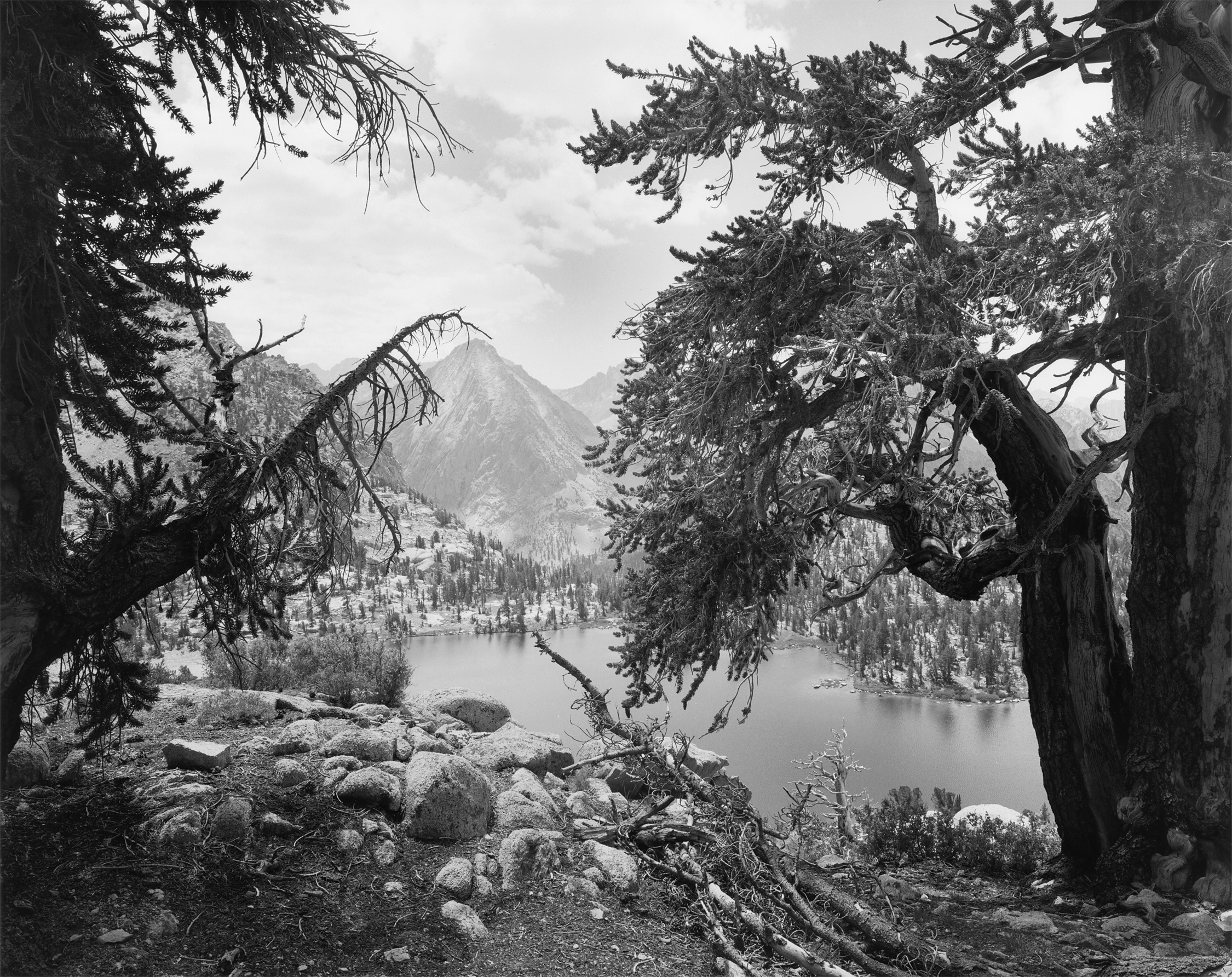 Bullfrog Lake #2