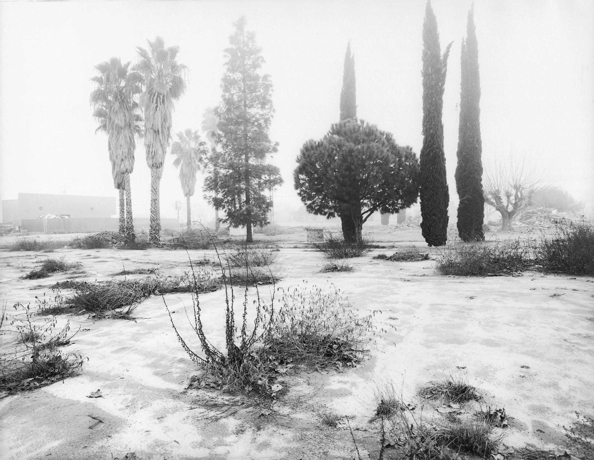 Raisin City California