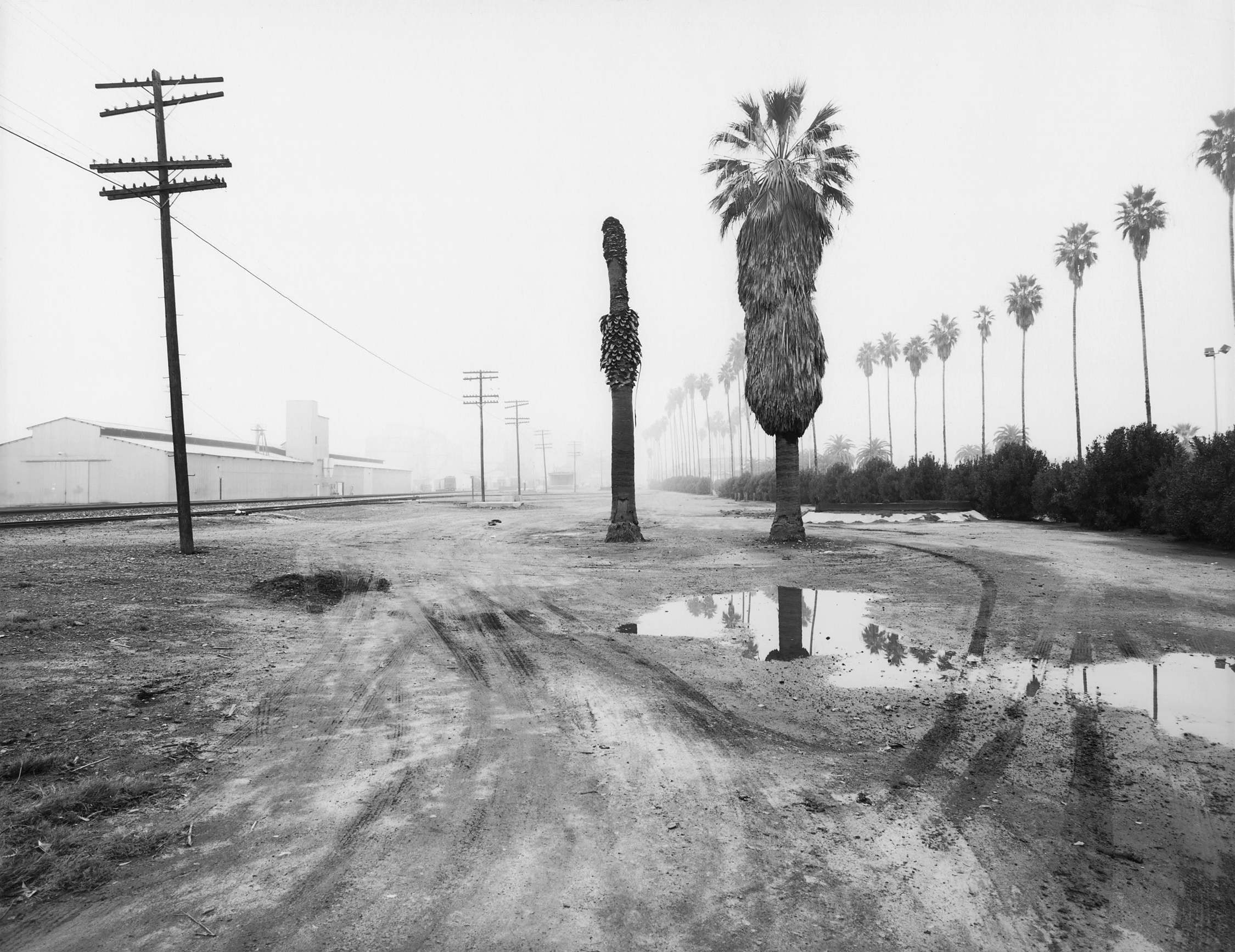 Corcoran California