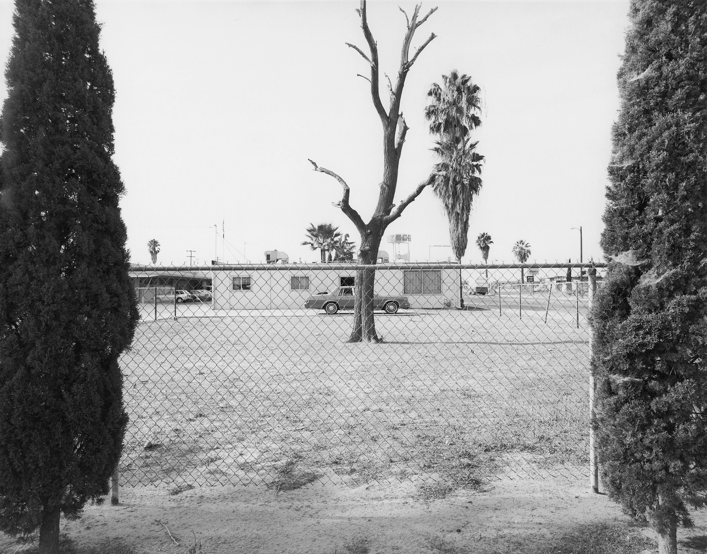 Wasco California