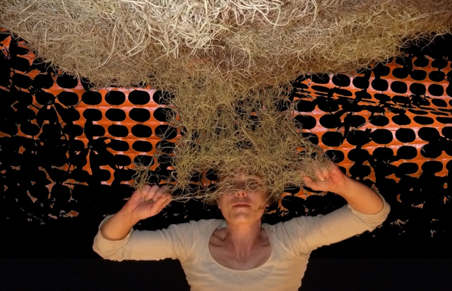 invertmoss & fence.jpg