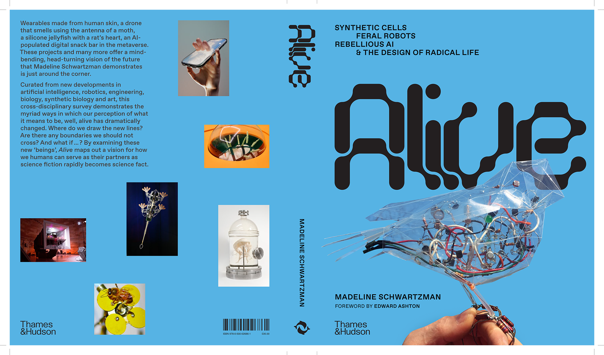 Alive_Cover.png