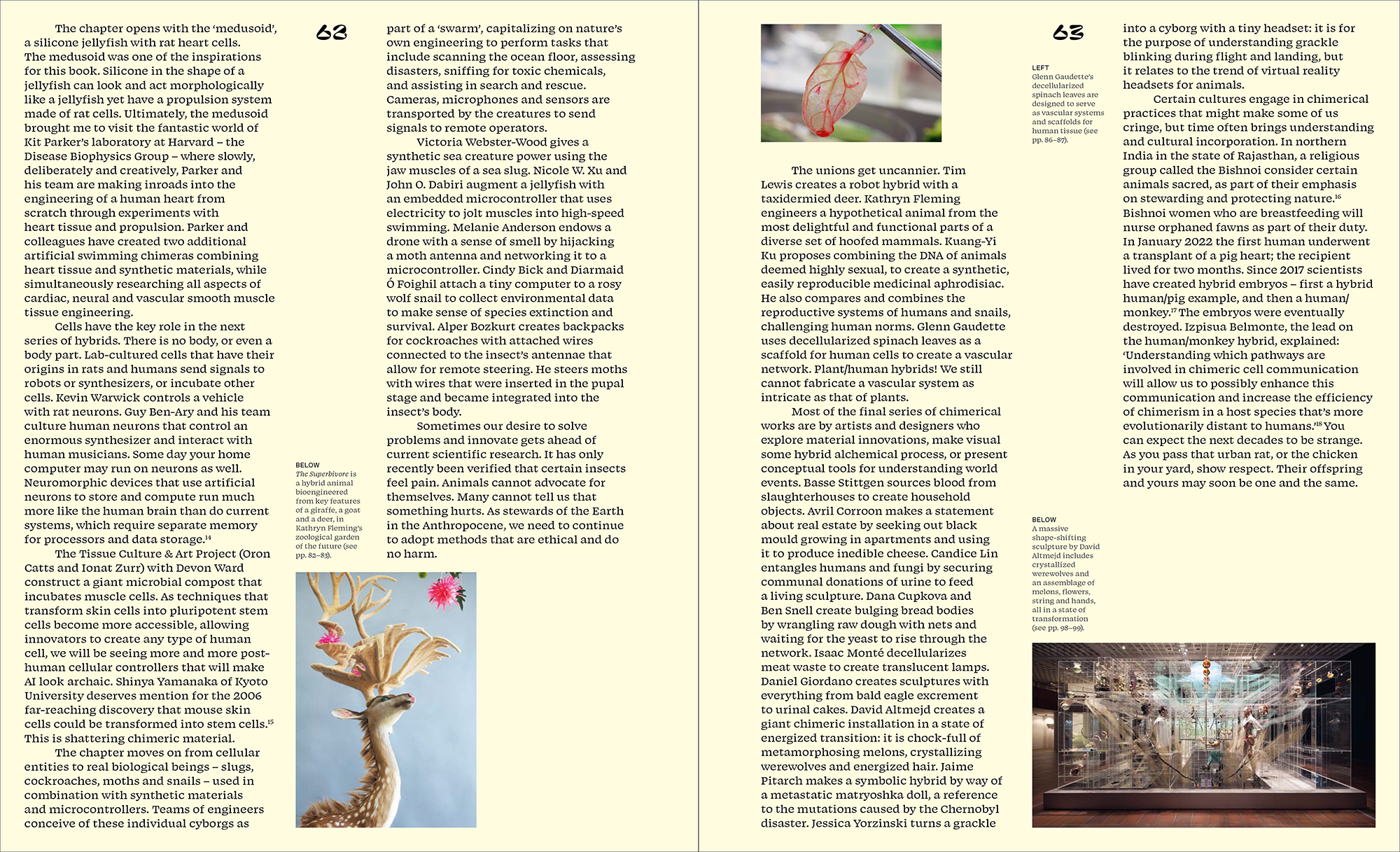 Pages-from-Alive_Press-3.png