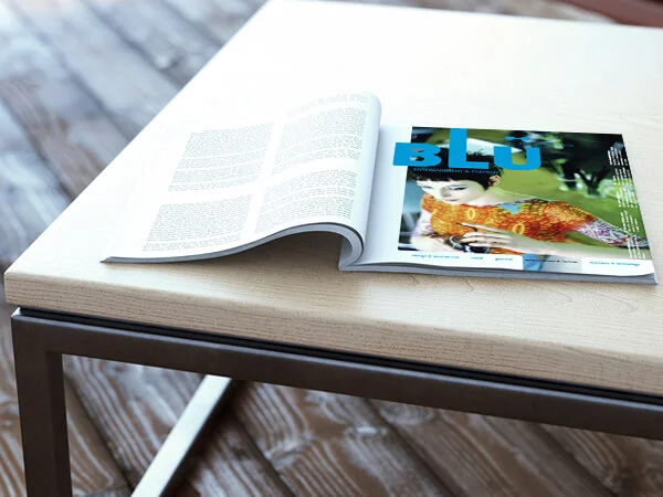 Be everywhere Bamboo Communications (Montreal) knew their five-tier magazine concept was crazy-ambitious given how competitive the magazine industry was. But they also knew it would go over big with the international hip crowd they were targeting. We helped them develop their concept and designed the prototype for Blu .