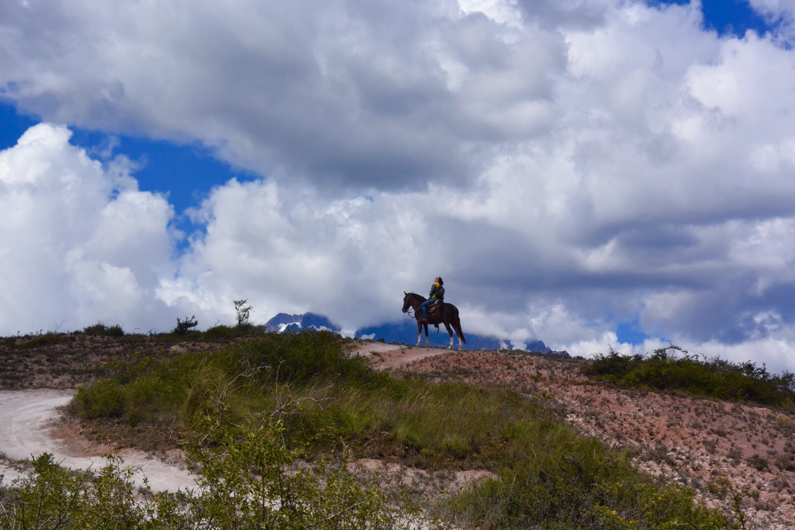 Ellen on horseback. Sacred Valley, Peru 2016.