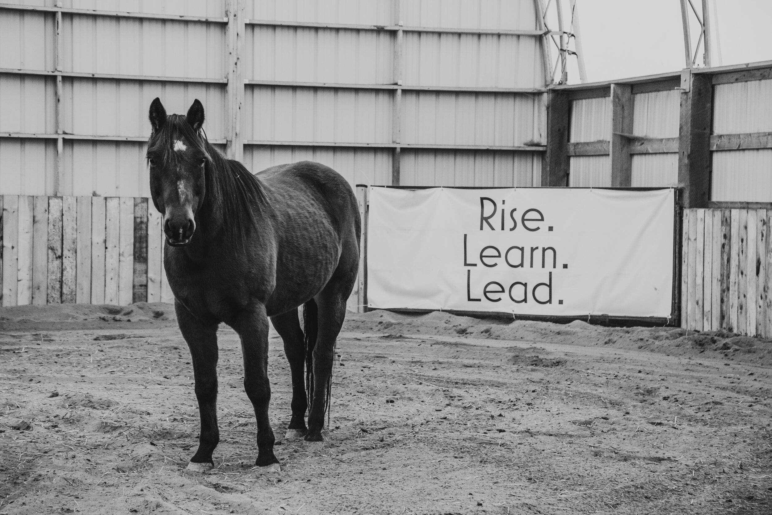 Claiming Your Leadership: A Leadership Lab for Women