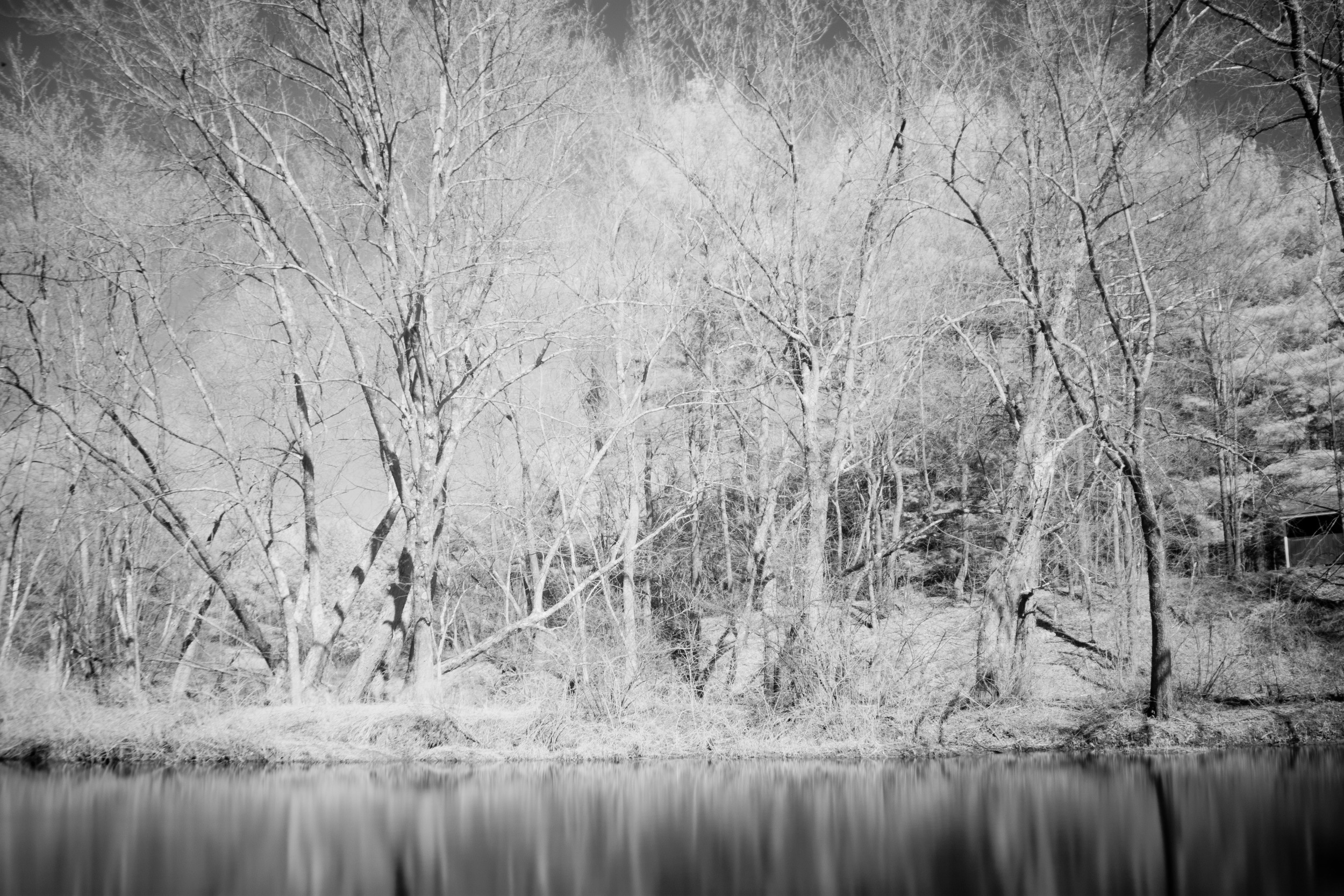 ir8.jpg