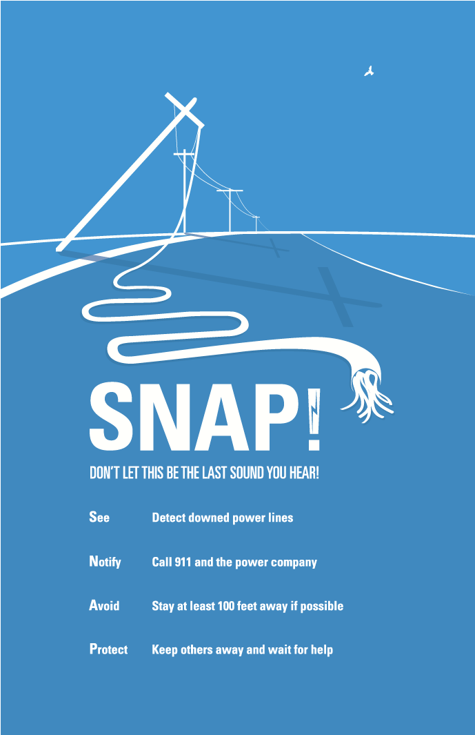 SNAPBoardPrint.png