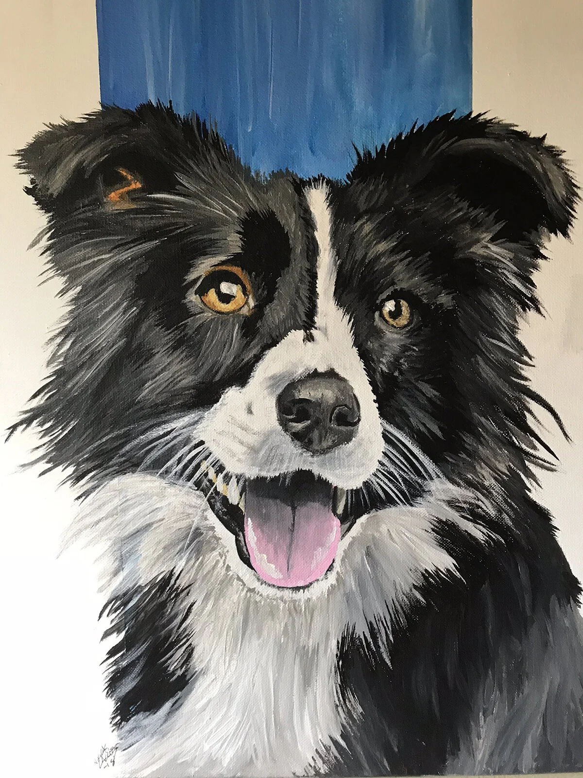 BorderCollie_2.jpg