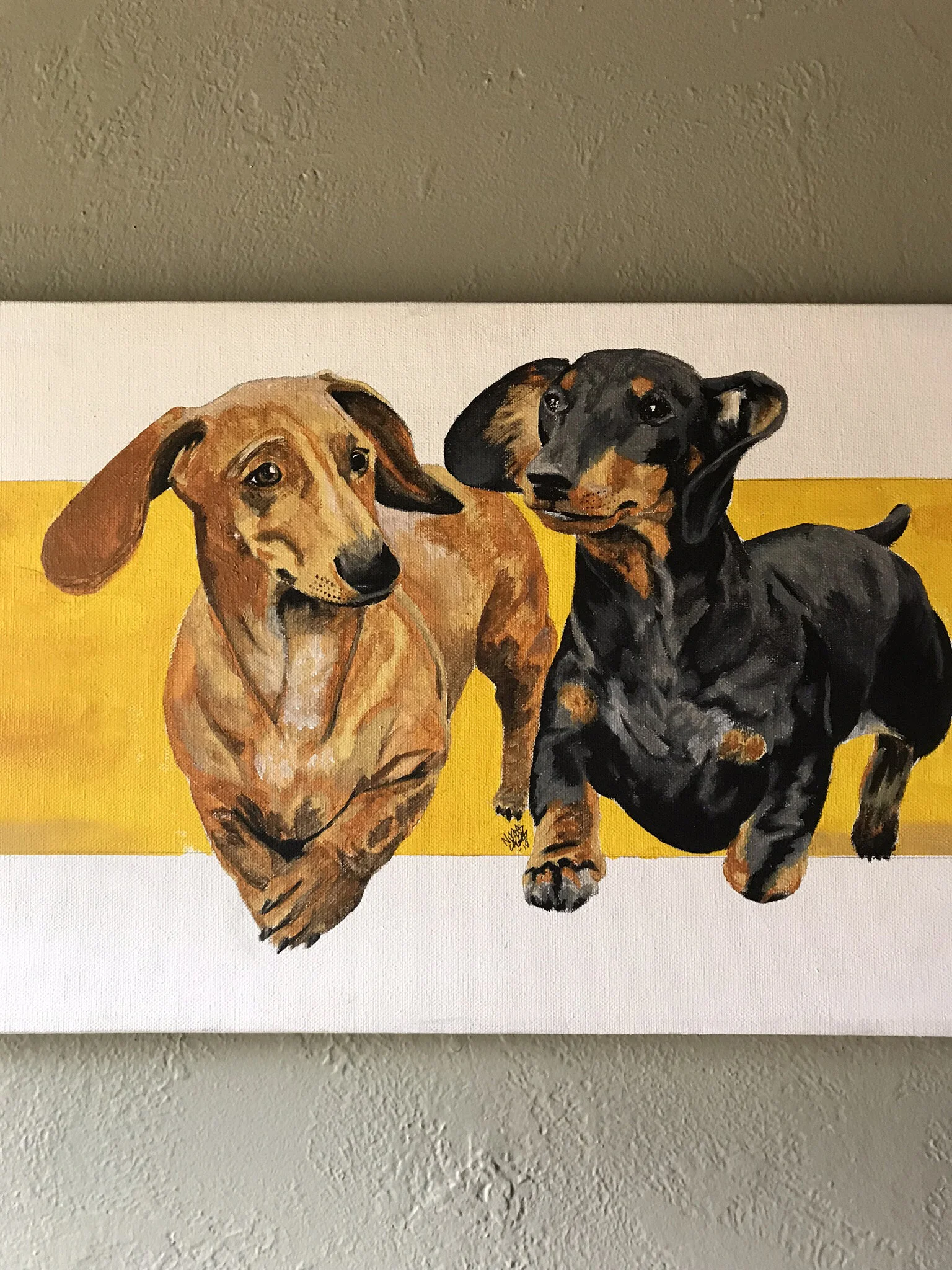 Dachshund_2.jpg