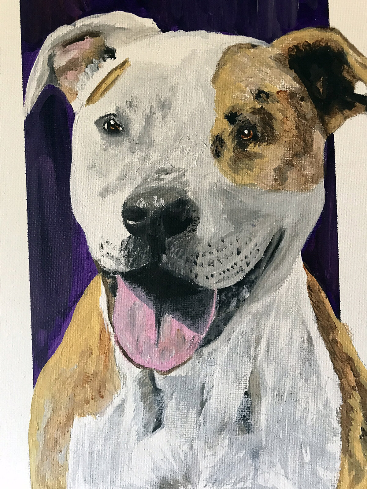 PitBull_2.jpg