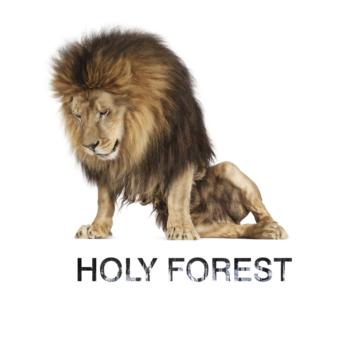 holy_forest_album.jpg