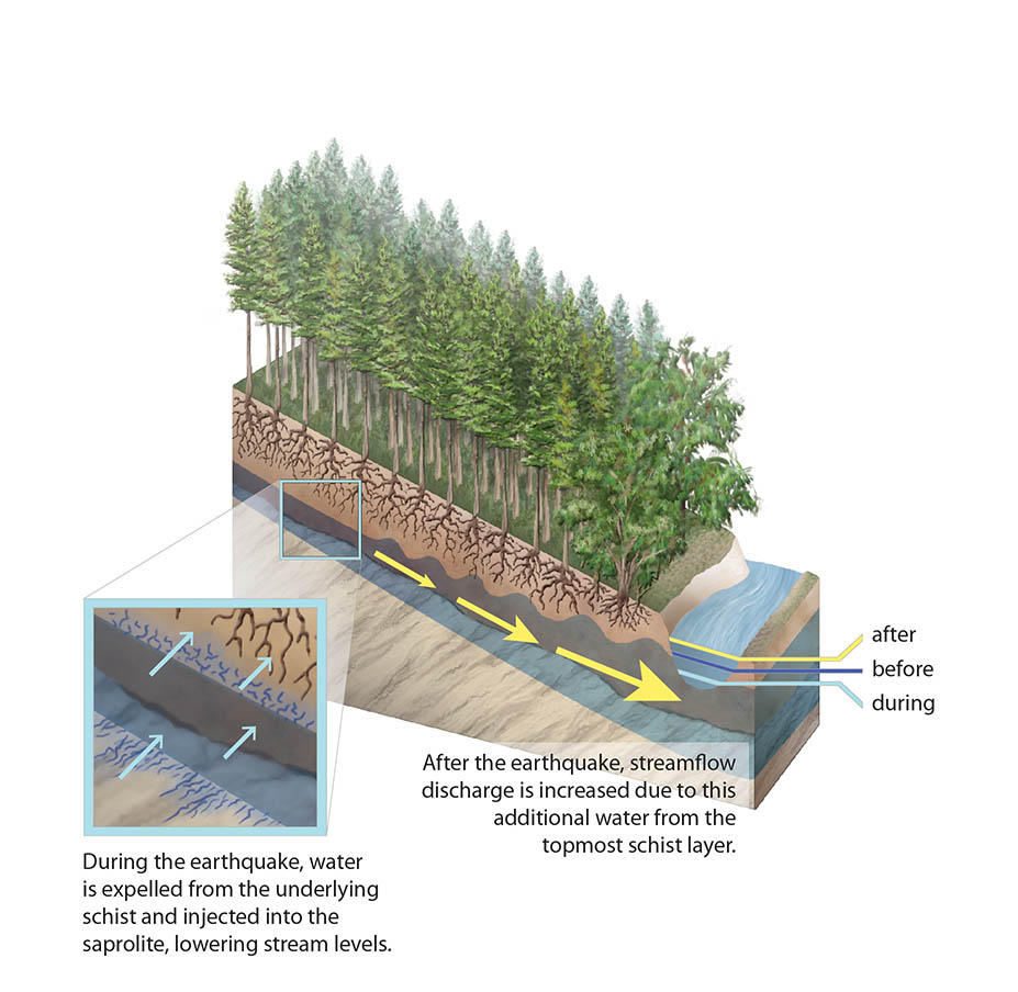 Streamflow dynamics following the 2010 Chile Earthquake