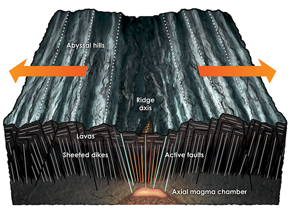 Abyssal Hill Formation