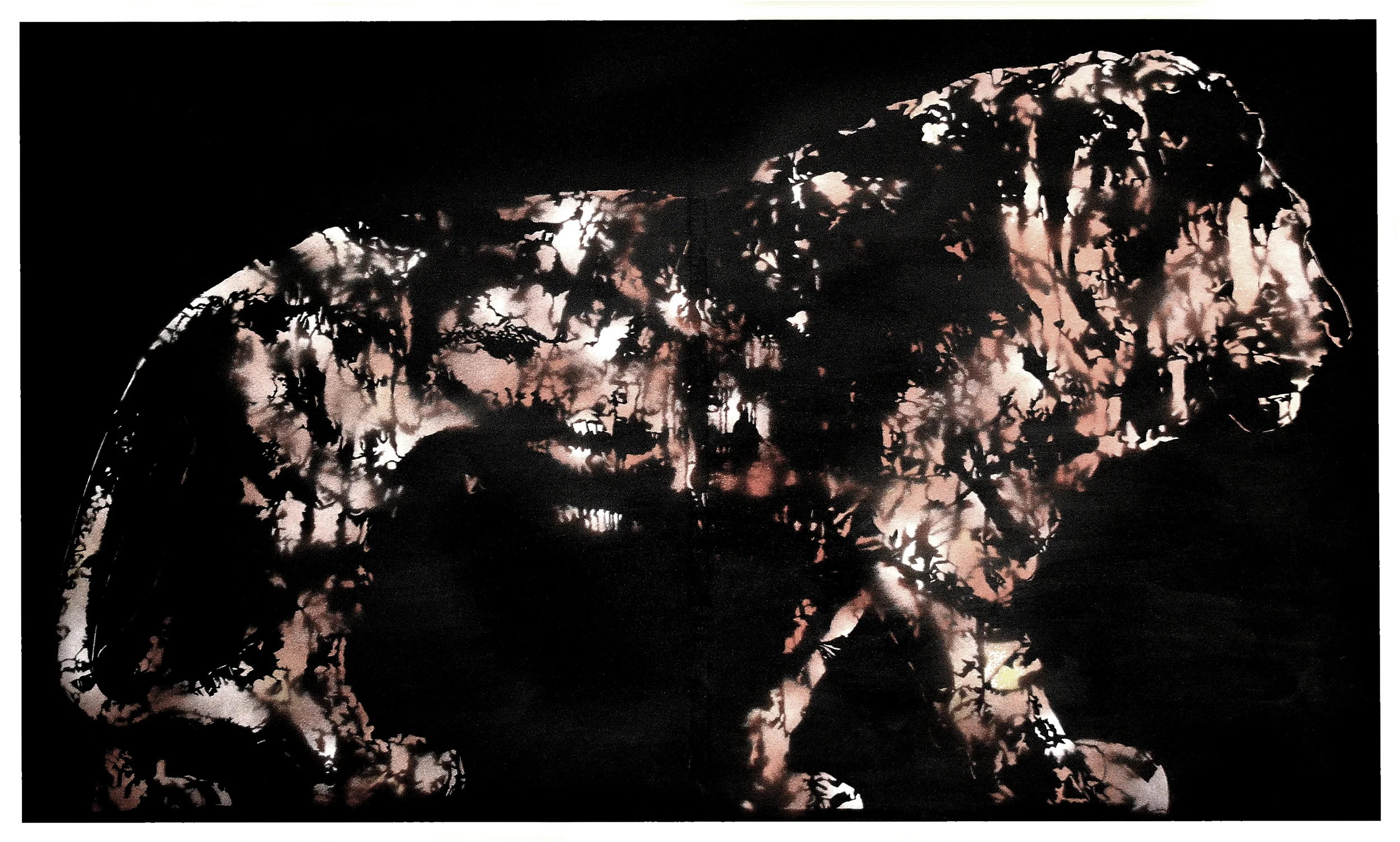 Hold These Lions 2011.jpg