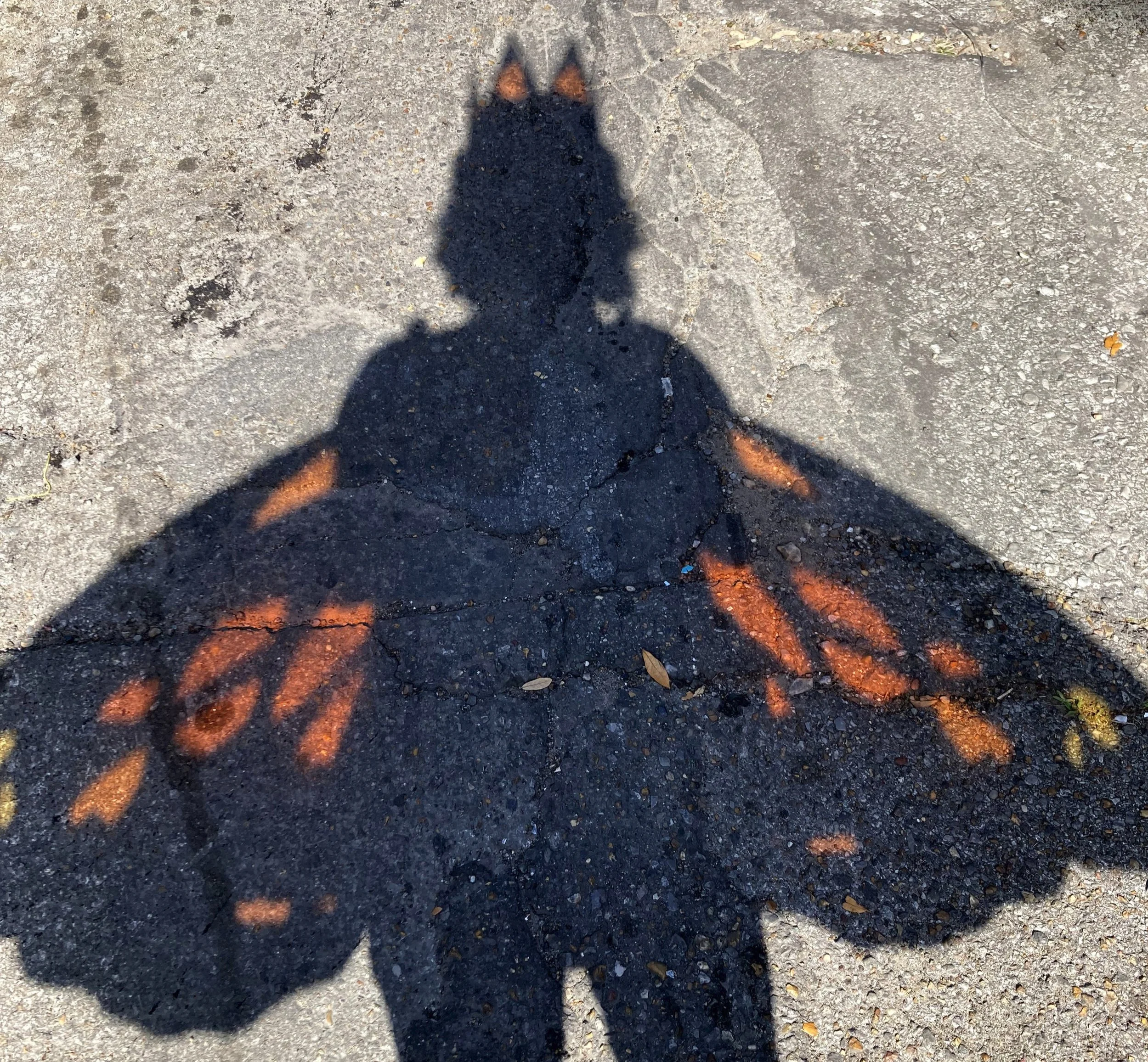 ARiotte+-+MG+Butterfly+1.jpg
