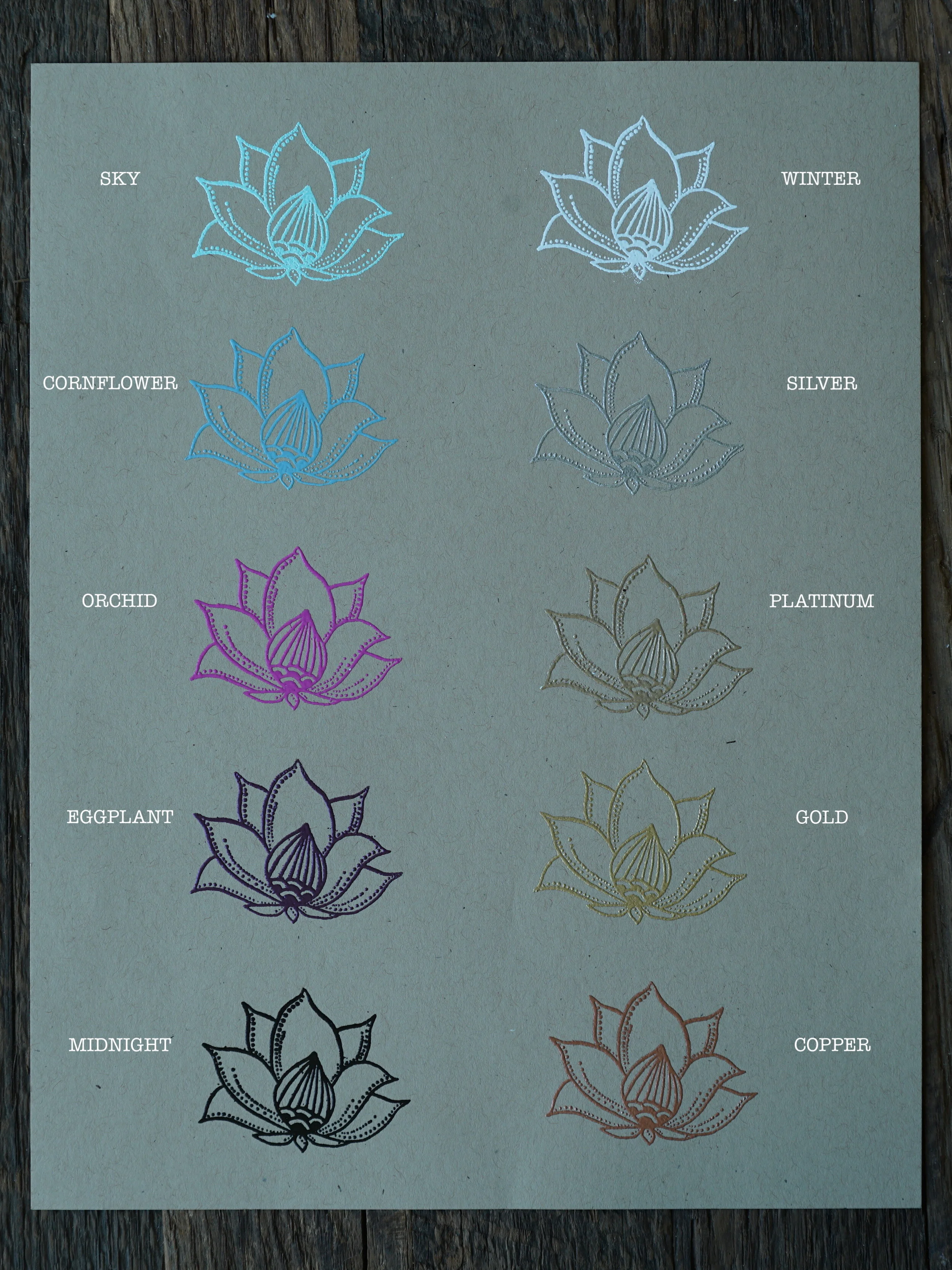 lotus color image 2.JPG