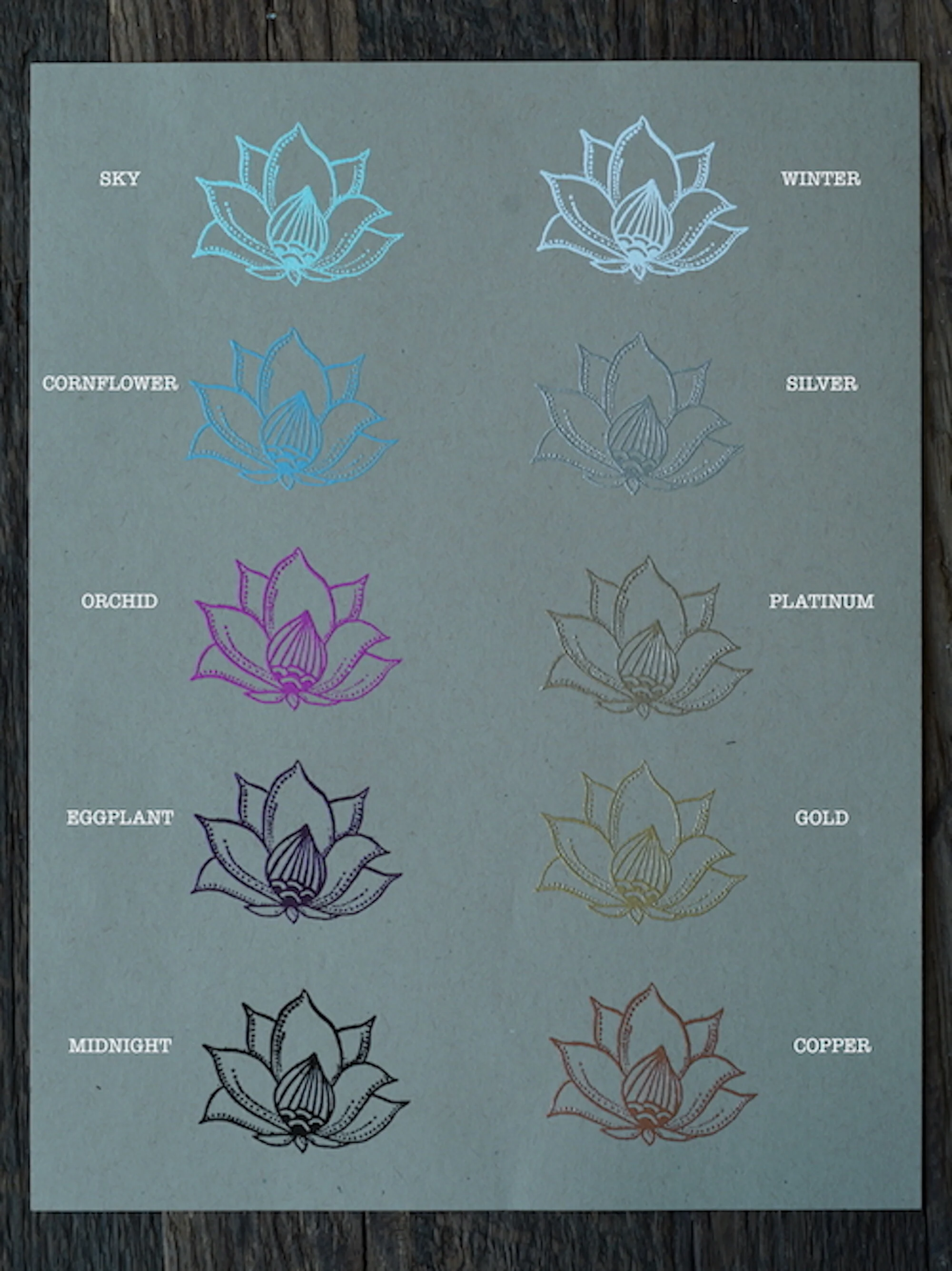 lotus color image 2.JPG