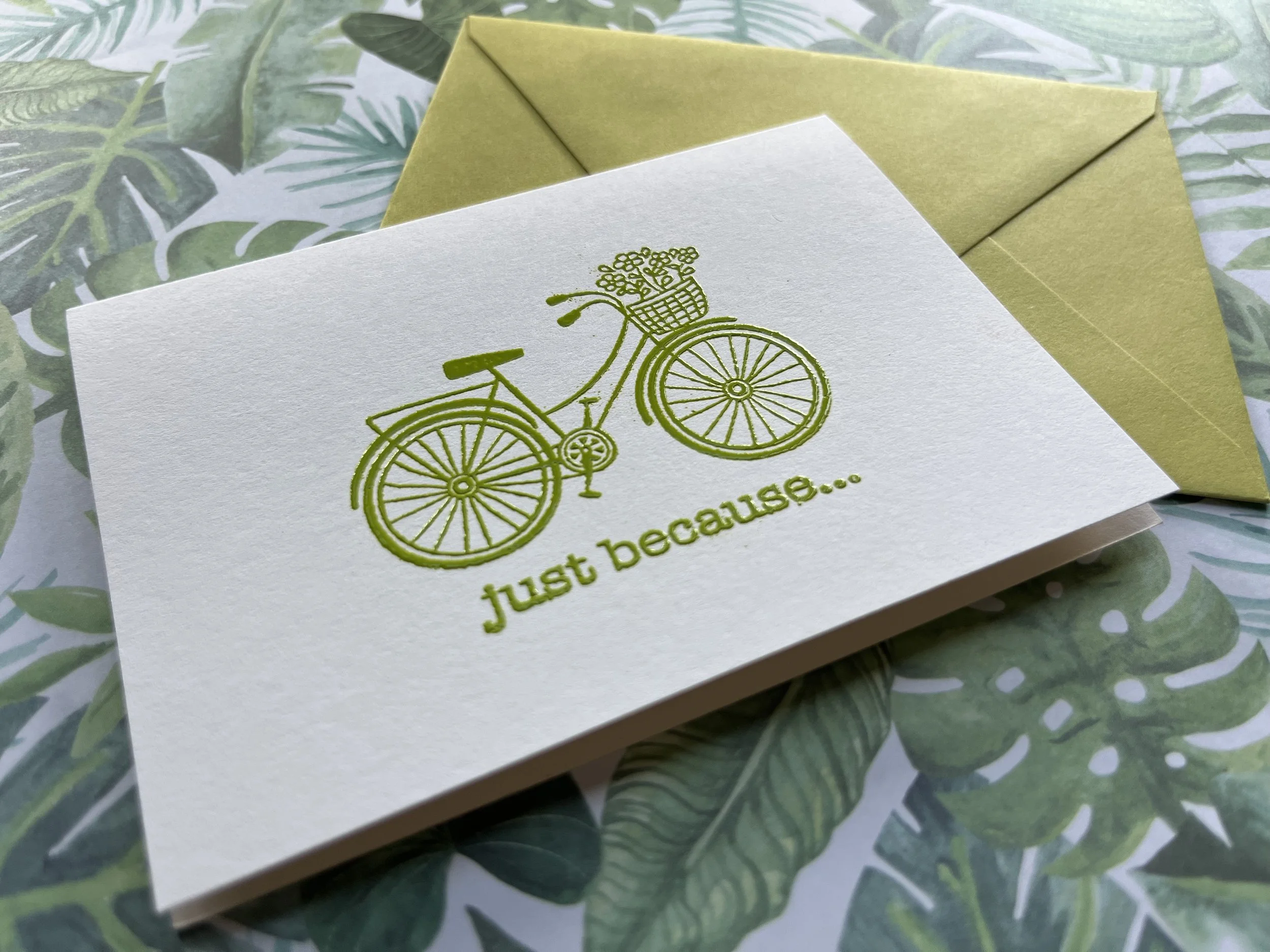 JB_bike with basket_kiwi_9.jpg