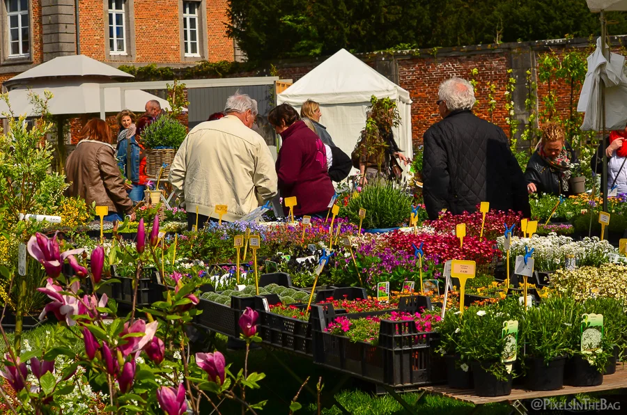 People admiring the flowers at the Enghien garden fair.