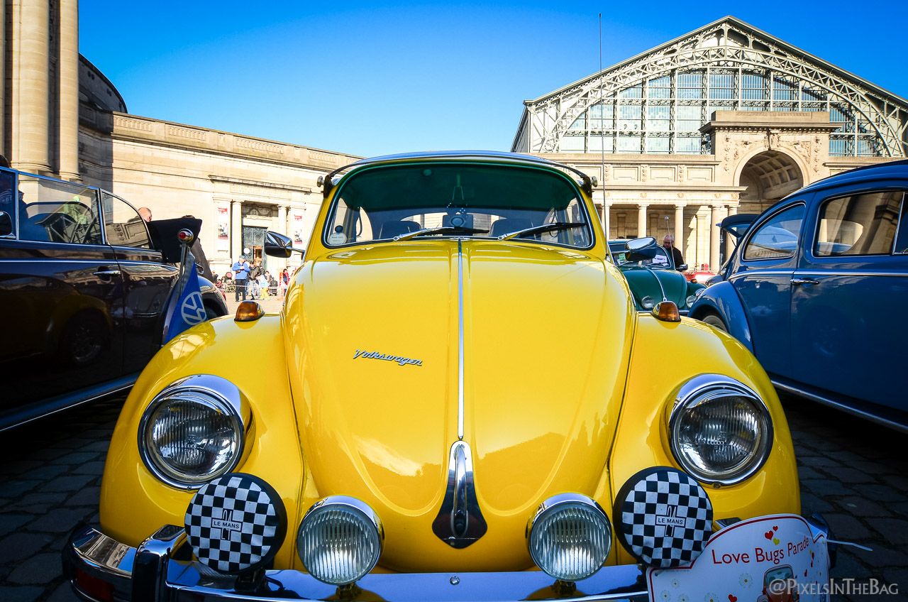 Love Bugs Parade-10