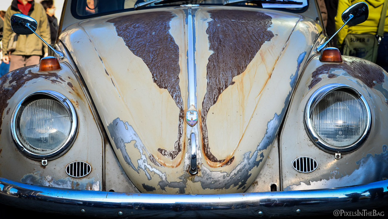 Love Bugs Parade-16
