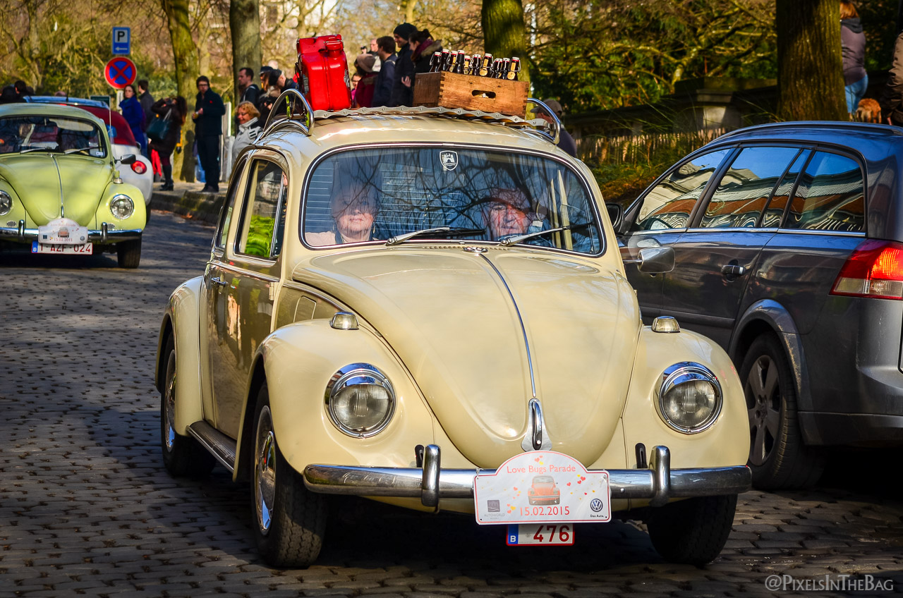 Love Bugs Parade-20