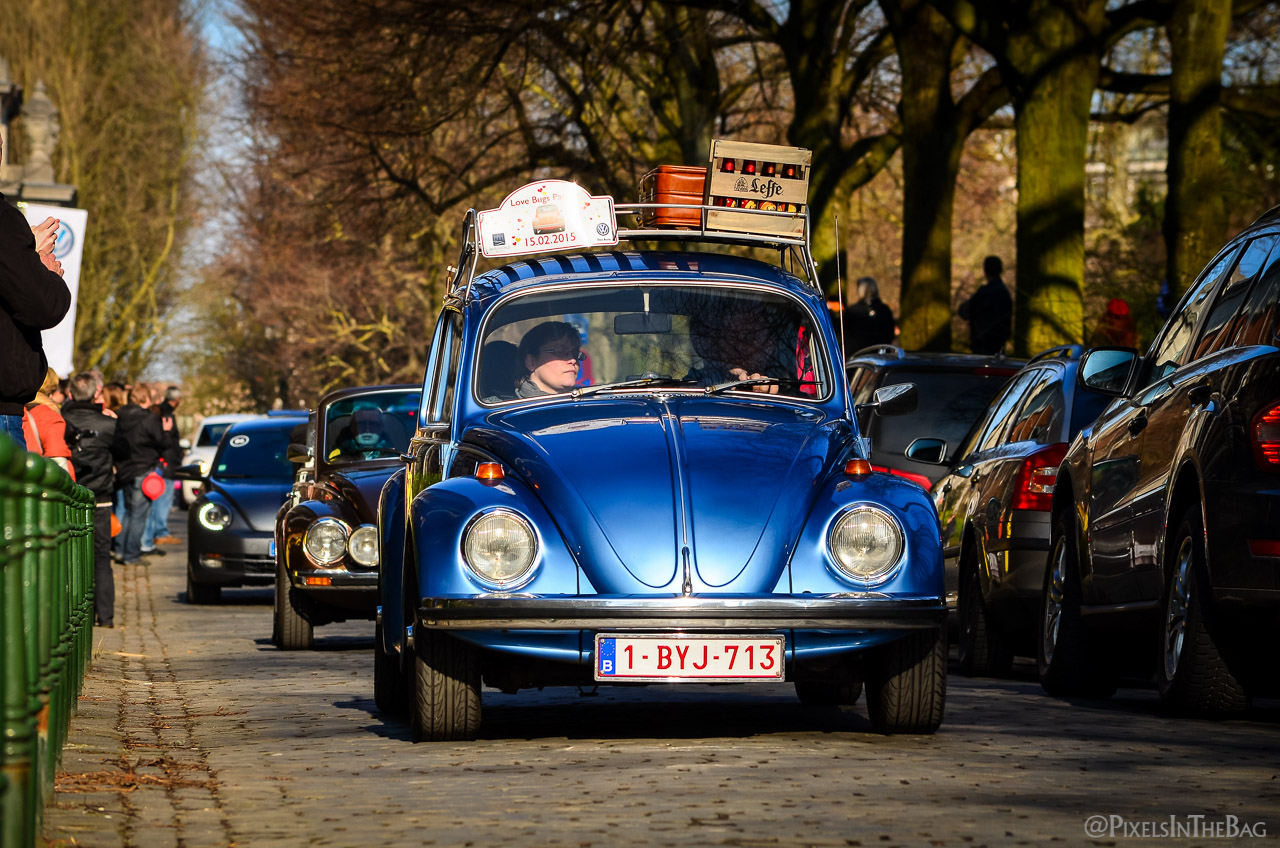 Love Bugs Parade-24