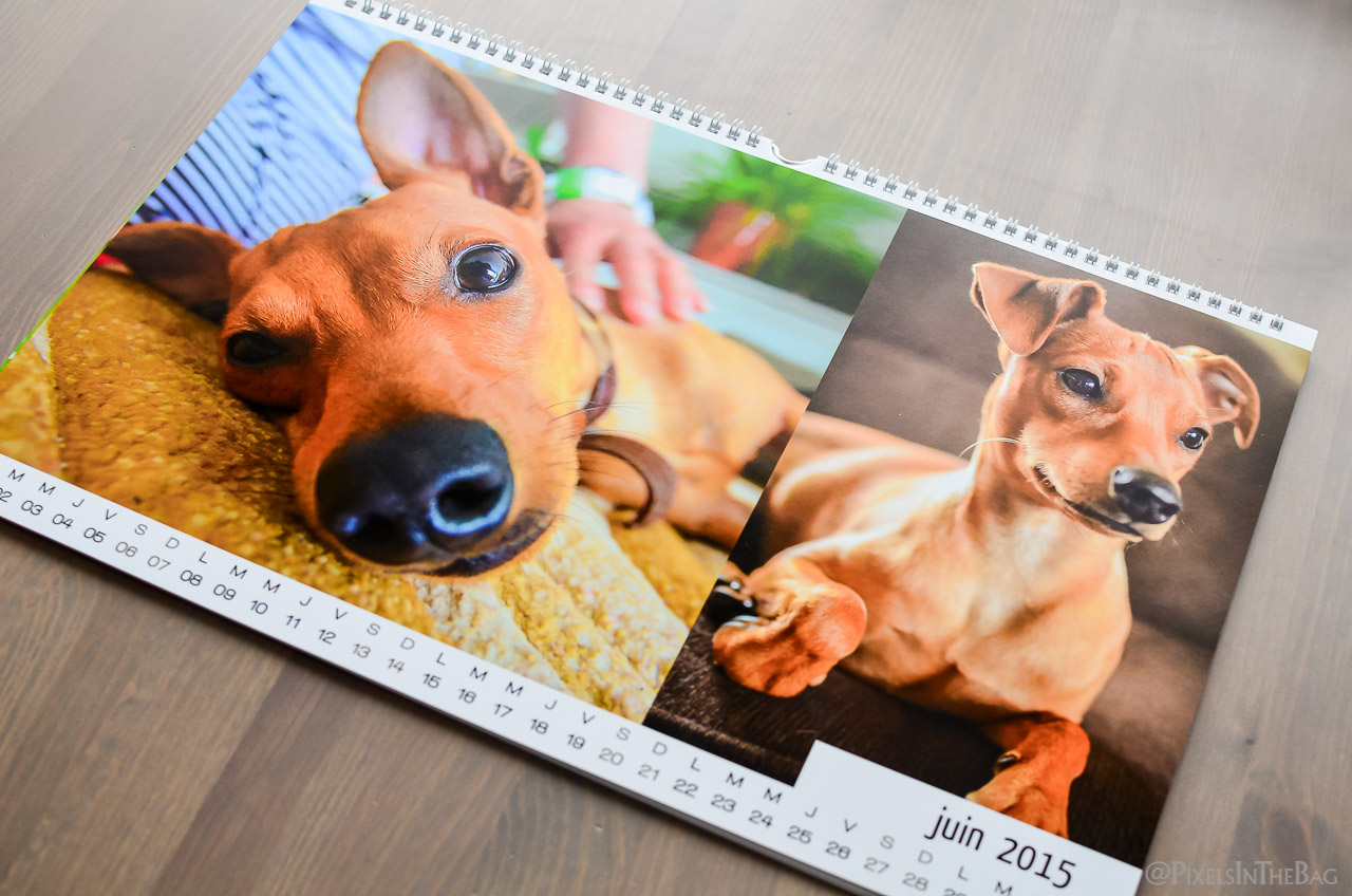 SmartPhoto-02
