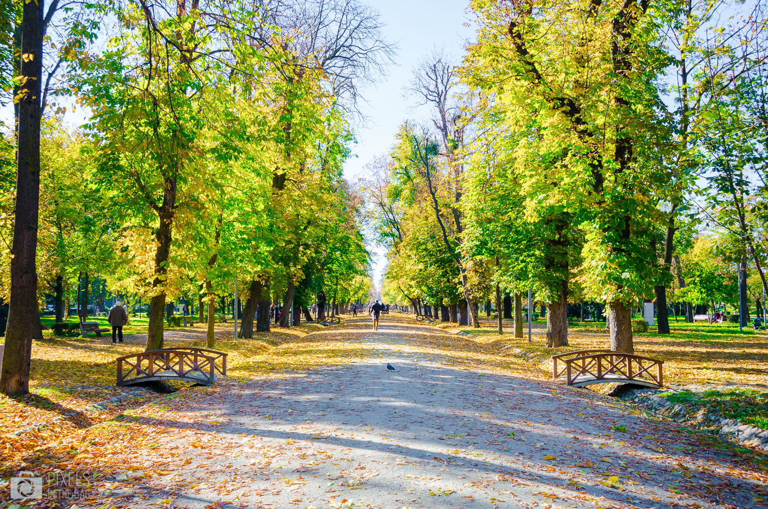 Parc Simion Bărnuțiu à Cluj-Napoca