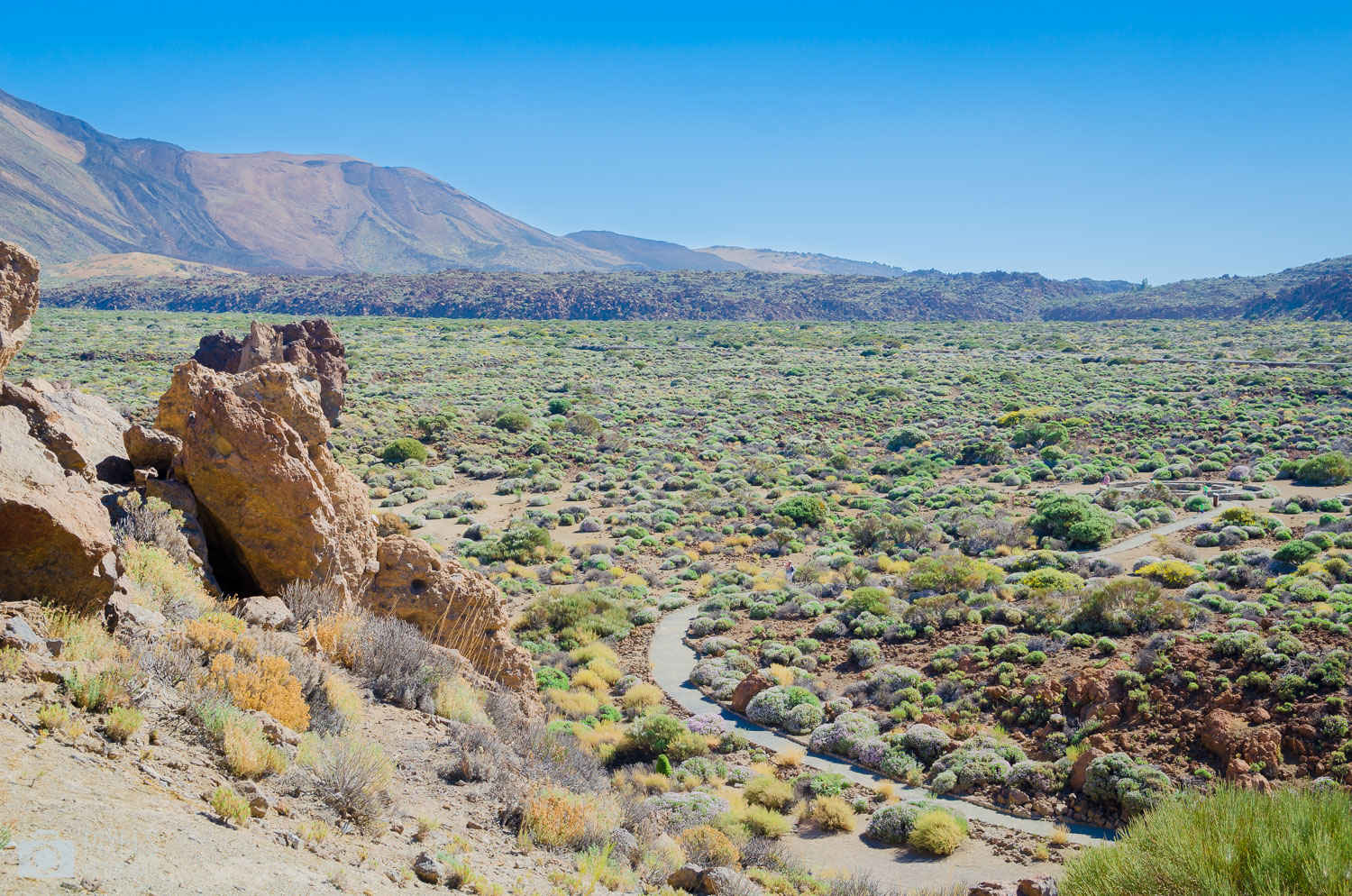 Un petit bout du parc national El Teide