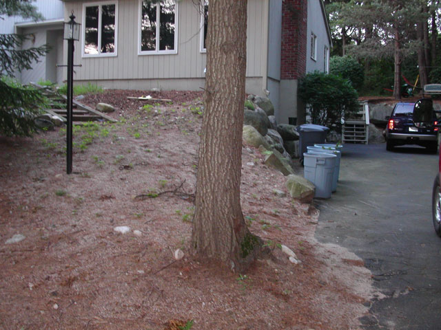- Before -