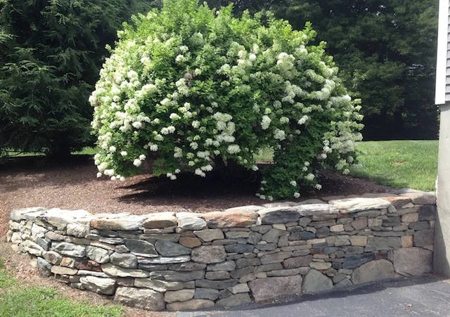 Curving Rock Wall(640x451).jpg