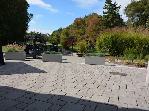 Cart Area.jpg