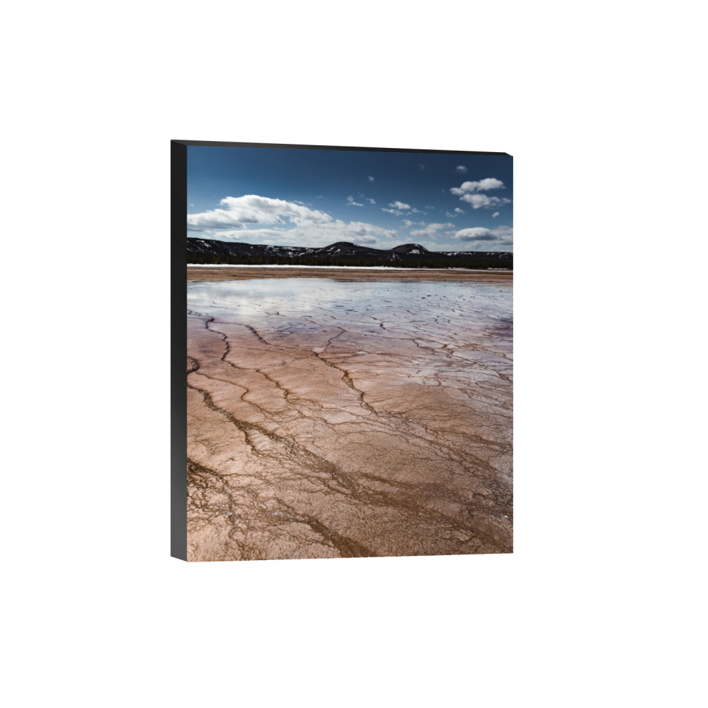 standout_rectangle4_5_0_557_4459_5573_0.png