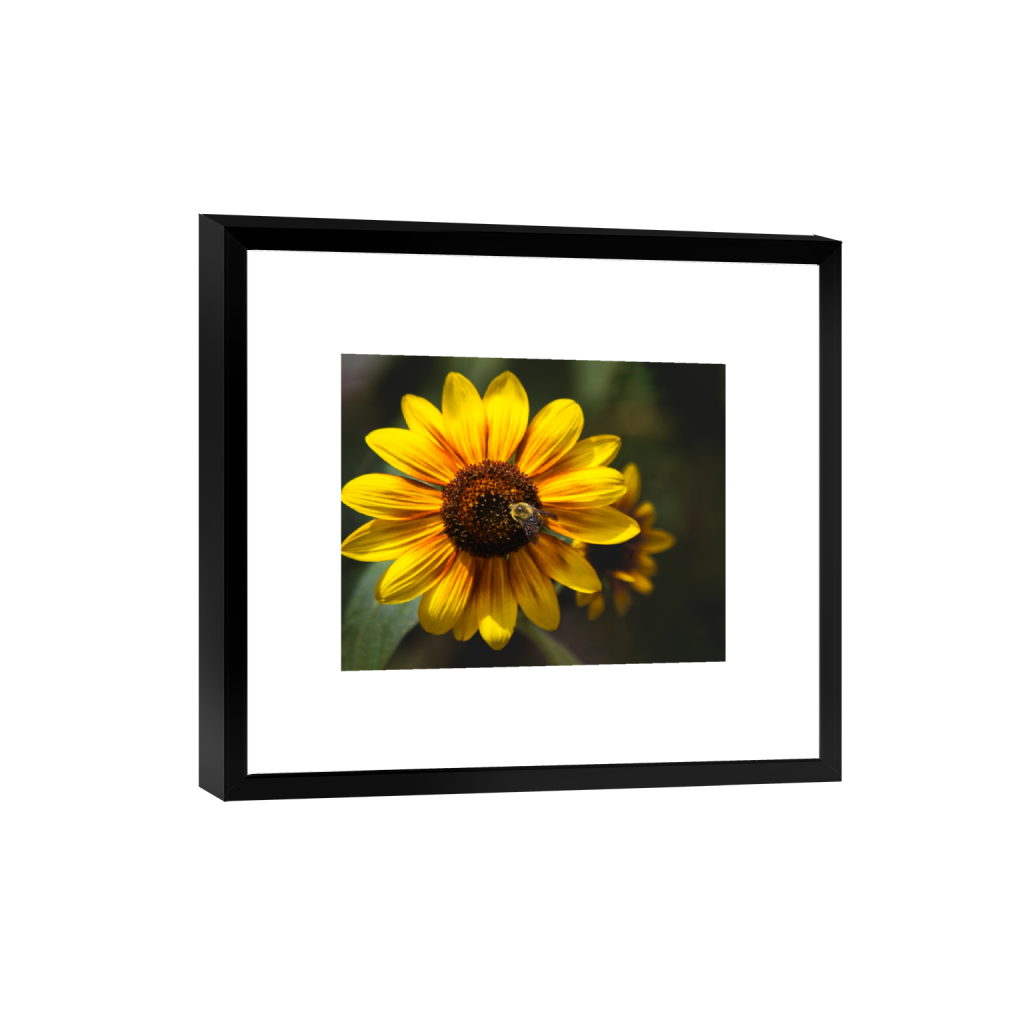 smartframe_rectangle4_5_313_0_3137_2510_0.png