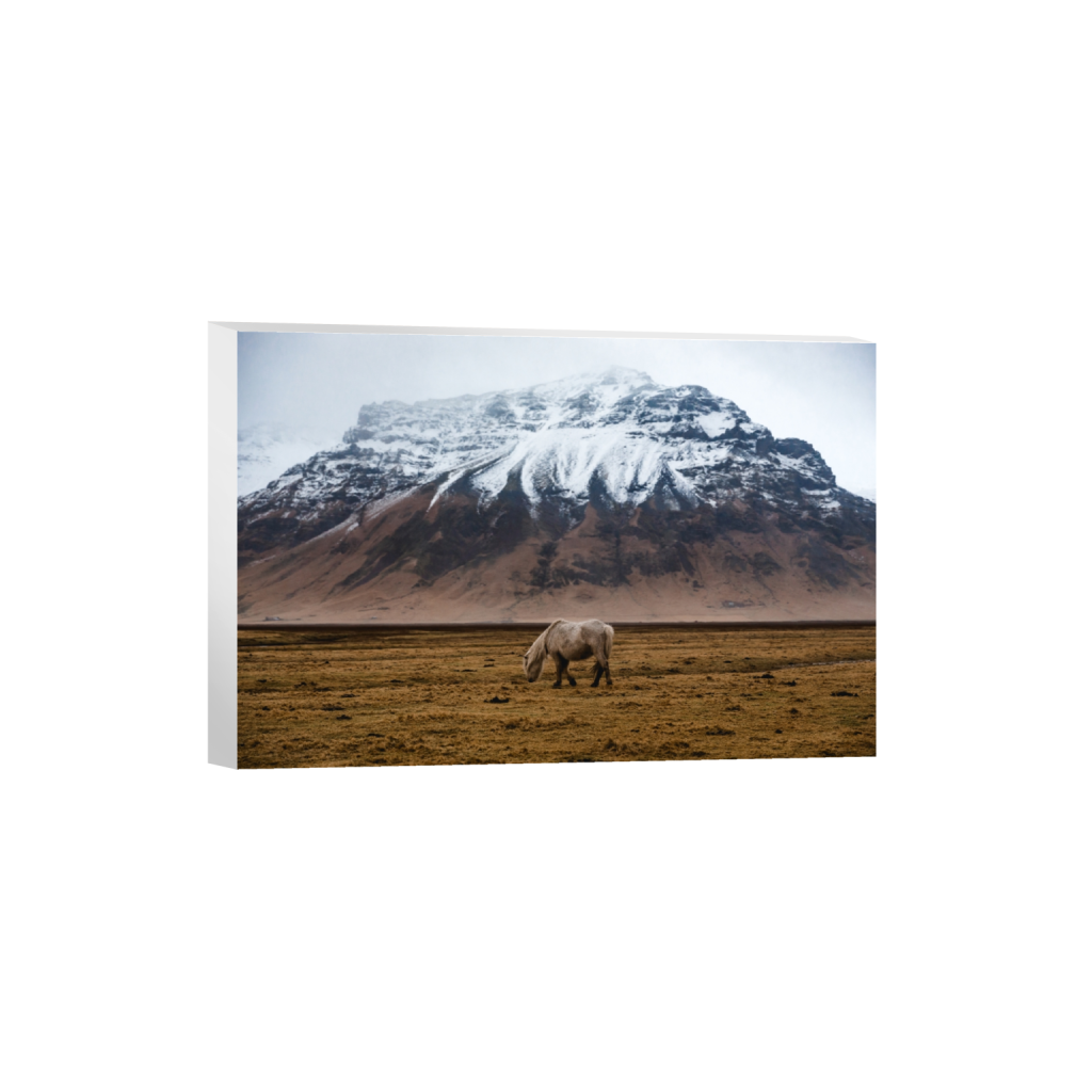 canvas_rectangle2_3_0_0_5322_3548_0.png