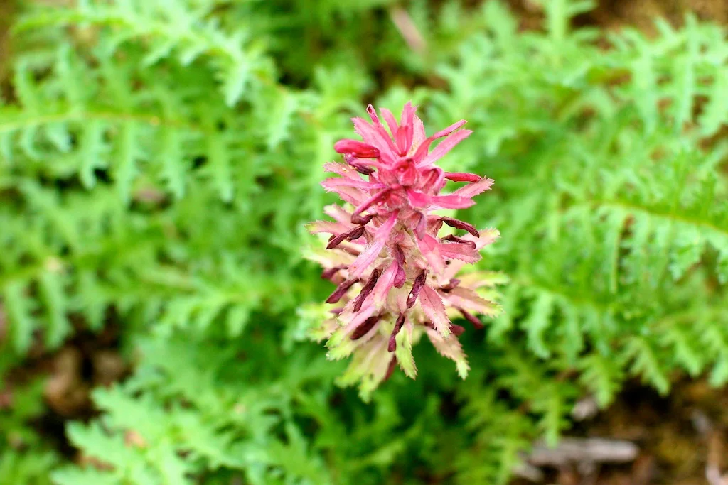 First Weekend of the Year