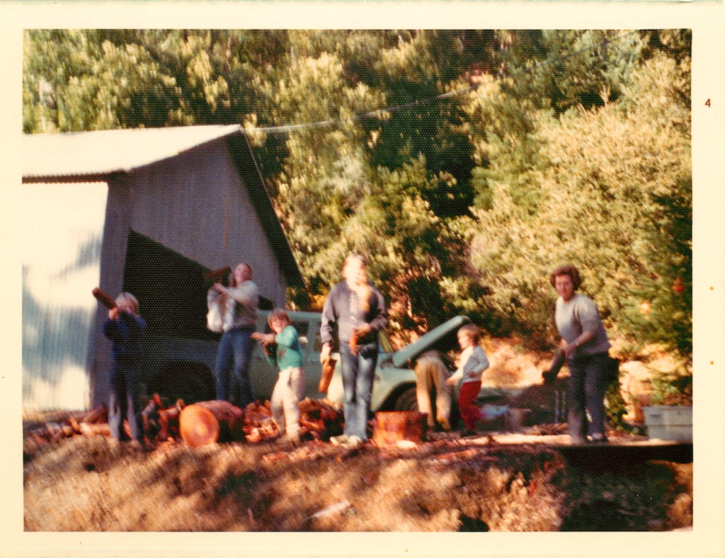 My grandmother, on the far right, showing us all how to throw firewood. 
