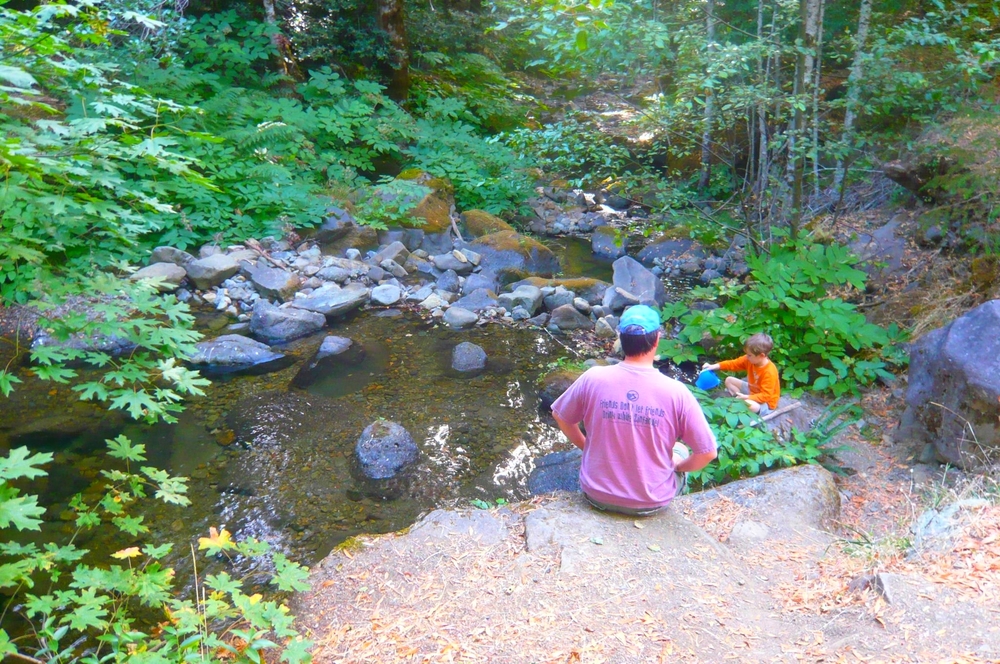  Summertime creek. 