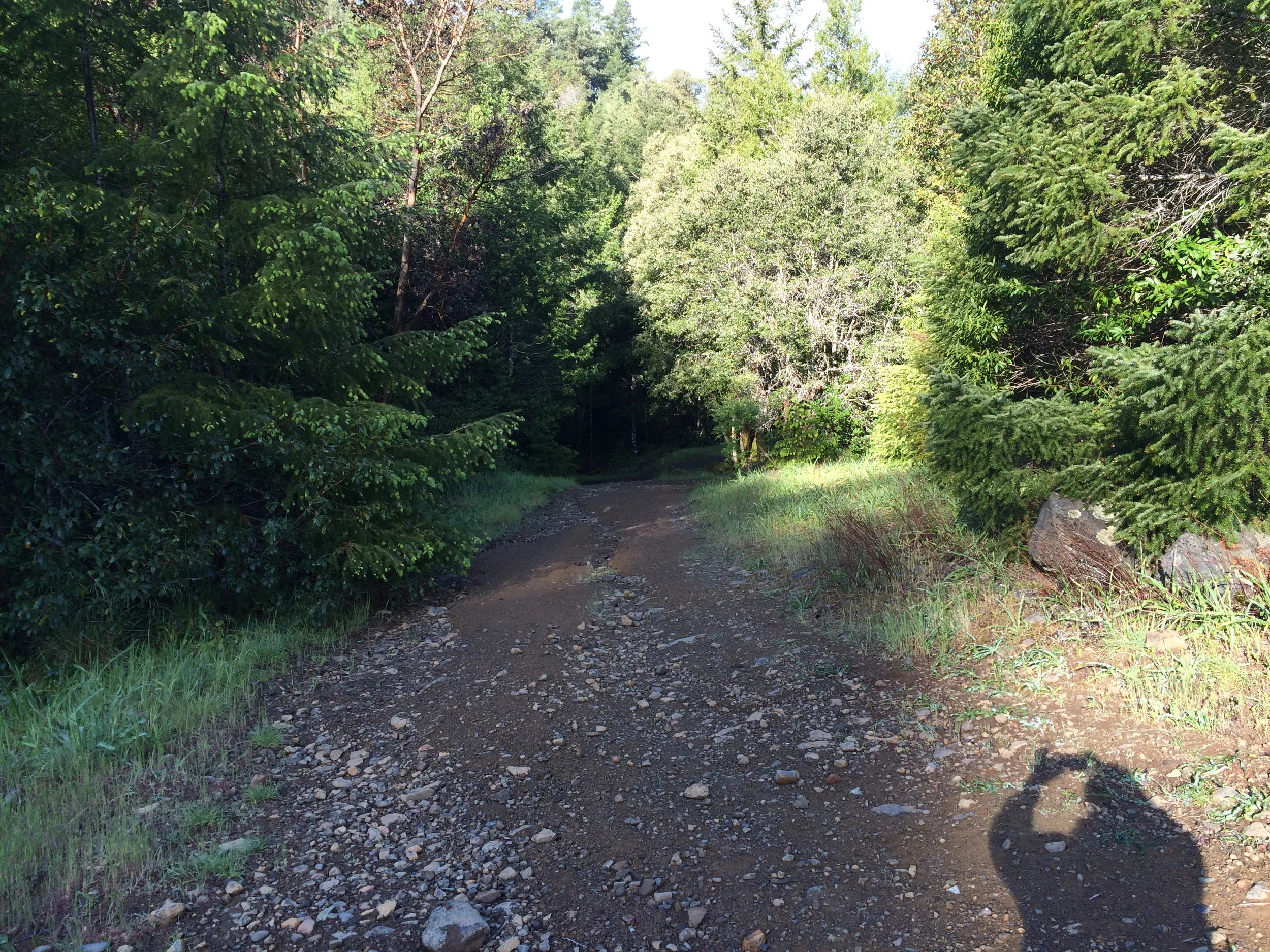 The Cabin Road. Part 2.