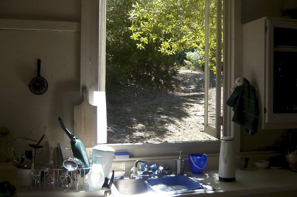 A bay tree outside the kitchen window provides constant inspiration.