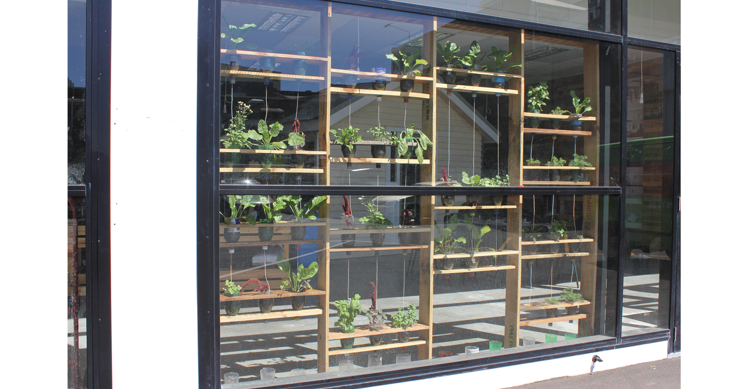 Sustainability Trust - Window Garden3 - By Designtree.jpg