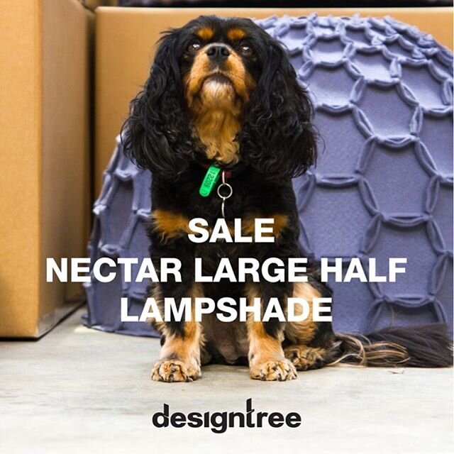 Limited edition sale - The Nectar large half #lampshade in Blush colour, check out our sales page for more info: www.designtree.co.nz/sale